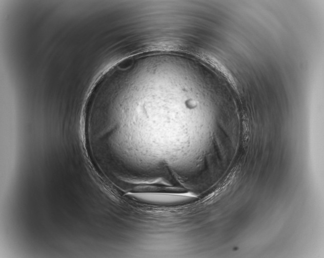 X0000093421035200710260954