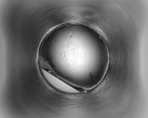 X0000093421036200710260954