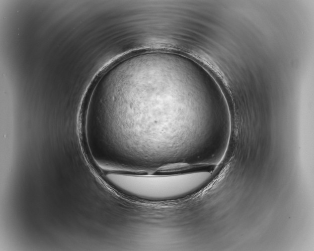 X0000093421037200710260954