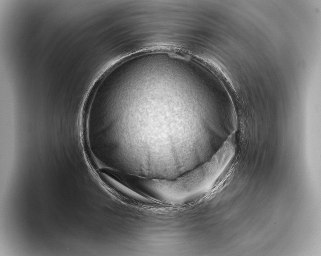 X0000093421038200710260954