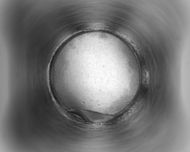 X0000093421039200710260954