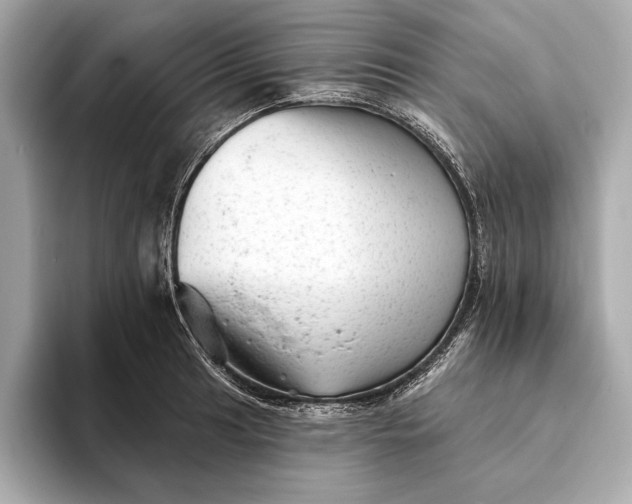 X0000093421041200710260954