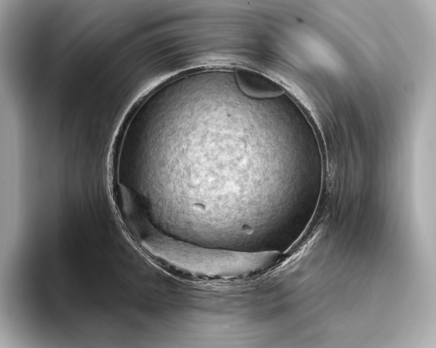 X0000093421045200710260954