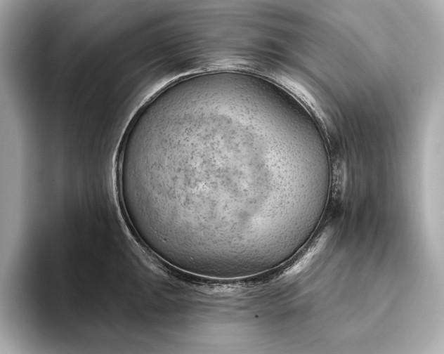 X0000093421047200710260954