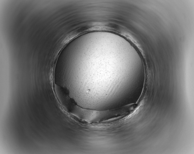 X0000093421049200710260954