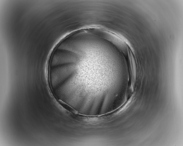 X0000093421054200710260954