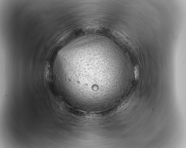 X0000093421059200710260954