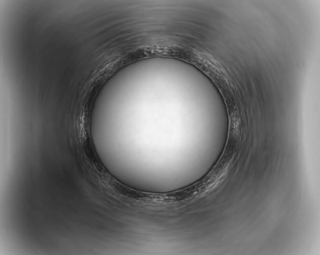 X0000093421060200710260954