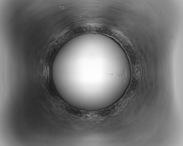 X0000093421061200710260954