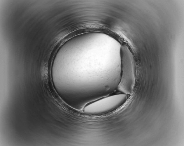 X0000093421065200710260954