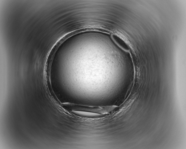 X0000093421068200710260954