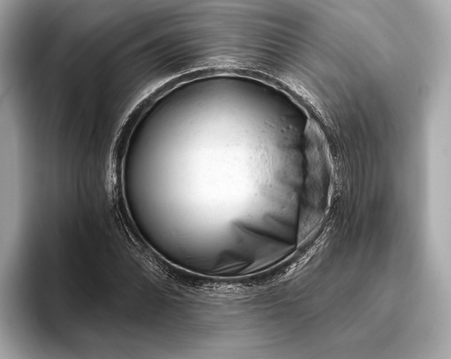 X0000093421070200710260954