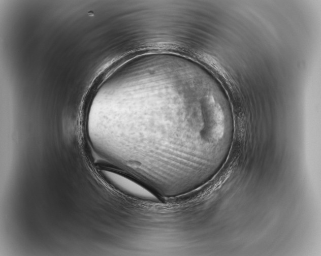 X0000093421071200710260954