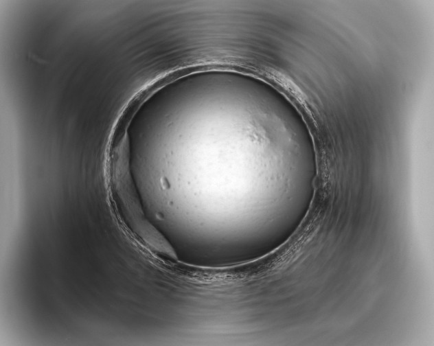 X0000093421072200710260954