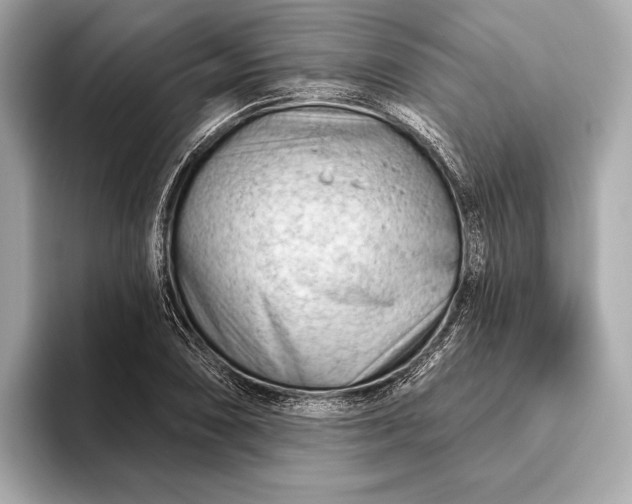 X0000093421074200710260954