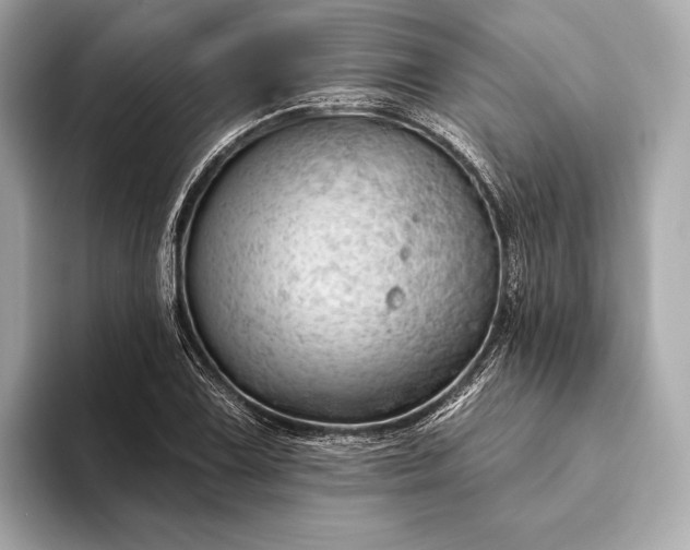 X0000093421075200710260954