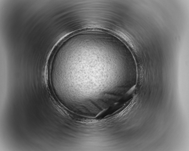 X0000093421076200710260954