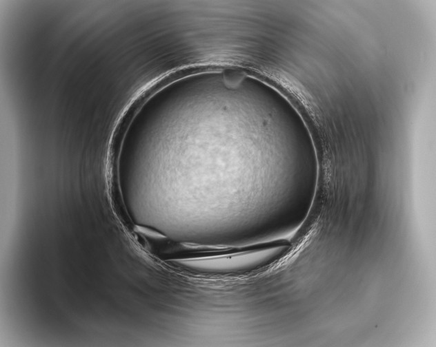 X0000093421077200710260954