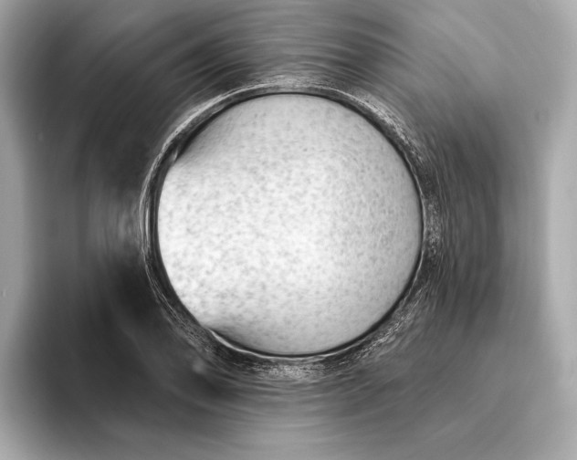 X0000093421078200710260954