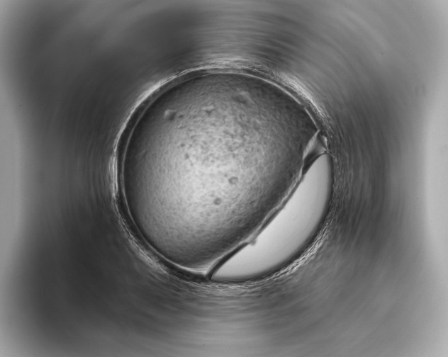 X0000093421079200710260954