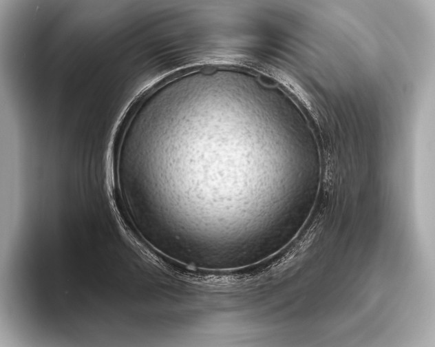 X0000093421080200710260953