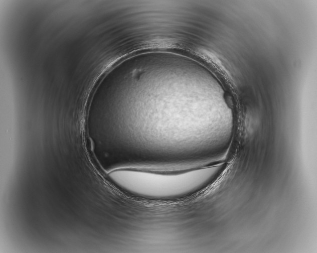 X0000093421081200710260953