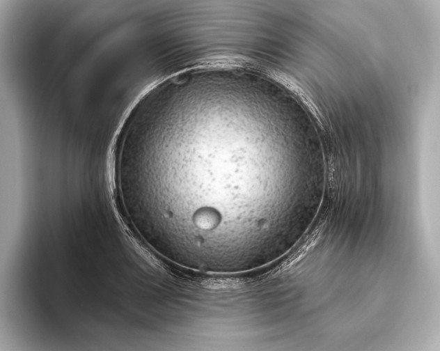 X0000093421083200710260953