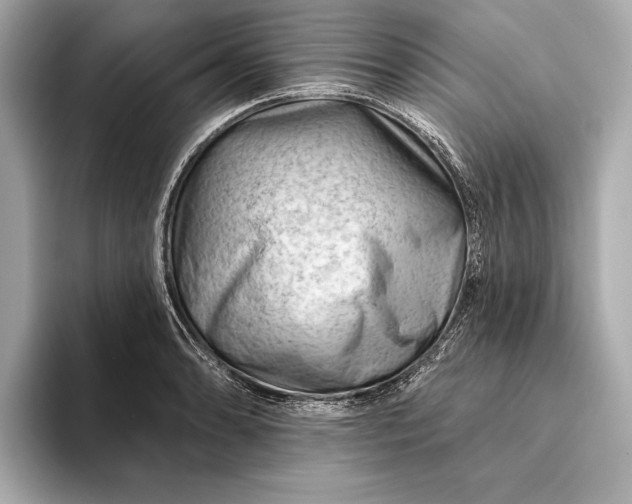 X0000093421086200710260953