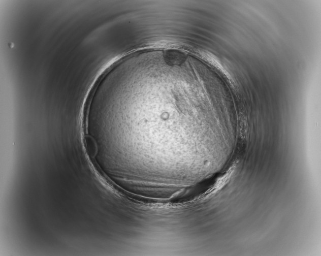 X0000093421087200710260953