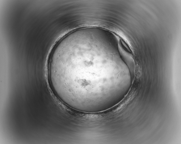 X0000093421088200710260953