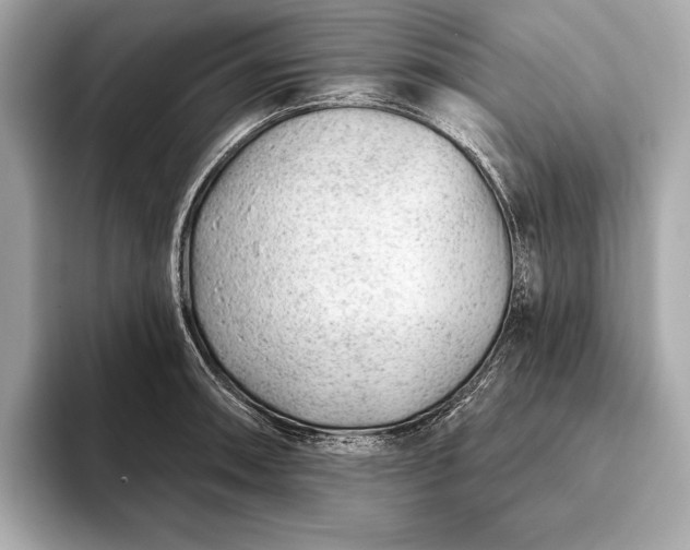 X0000093421090200710260953