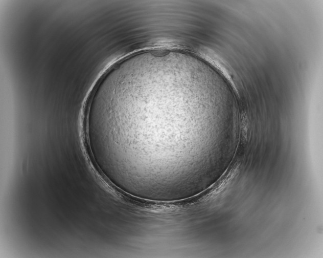 X0000093421091200710260953