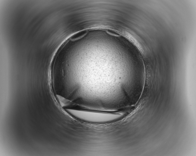 X0000093421092200710260953