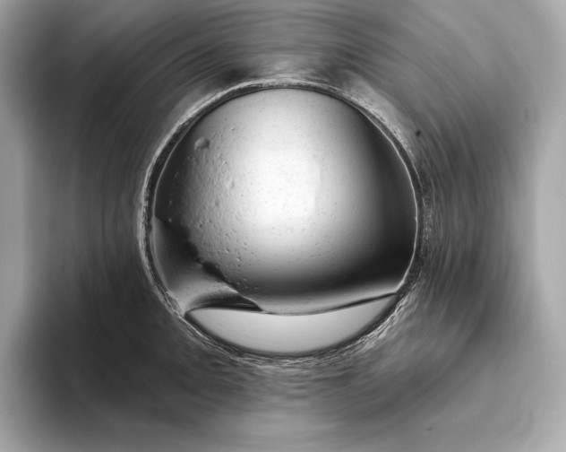 X0000093421093200710260953