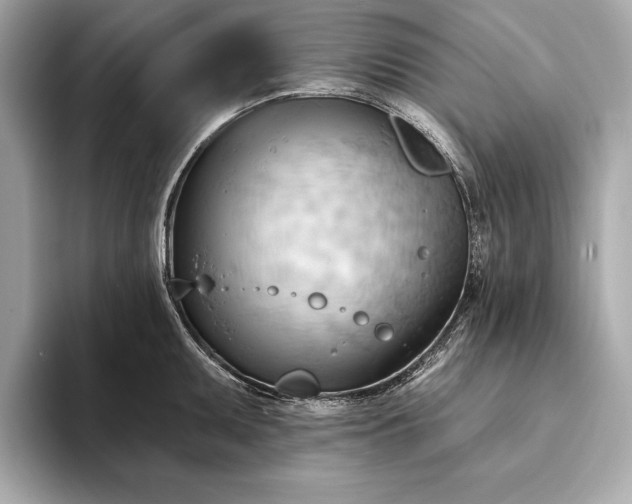 X0000093421095200710260953