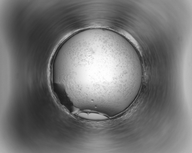 X0000093421096200710260953