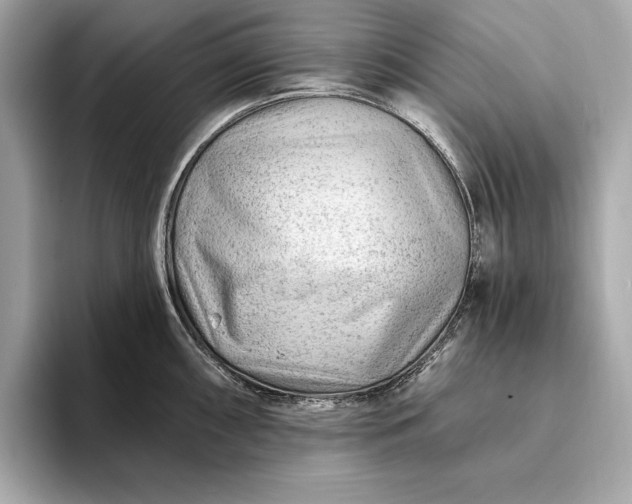 X0000093421098200710260953