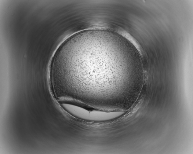 X0000093421099200710260953