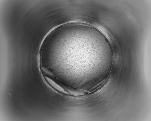 X0000093421100200710260953