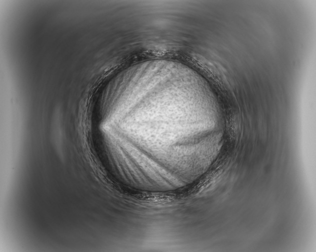 X0000093421105200710260952