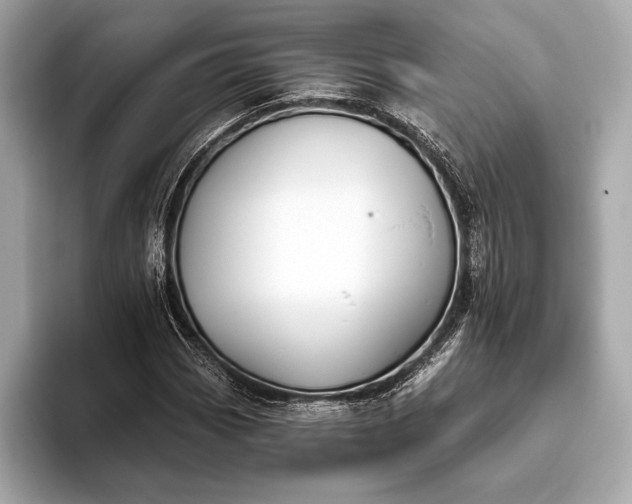 X0000093421113200710260952