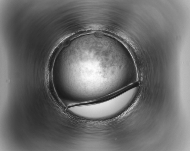 X0000093421117200710260953