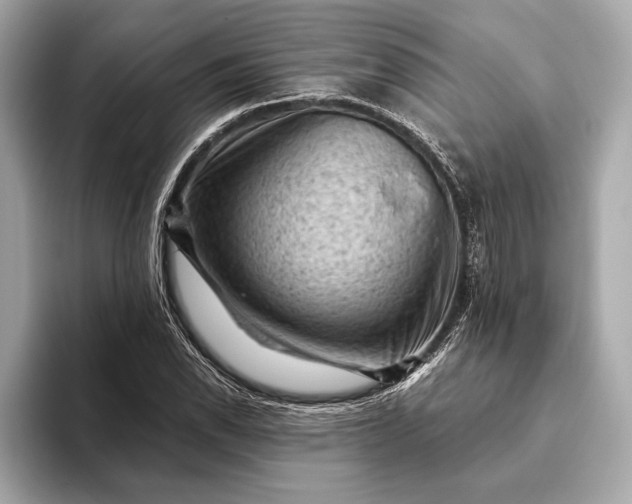 X0000093421118200710260953