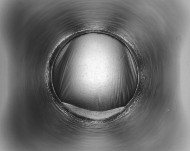 X0000093421119200710260953