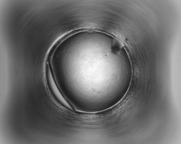 X0000093421120200710260953