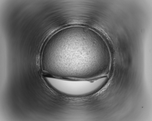 X0000093421121200710260953