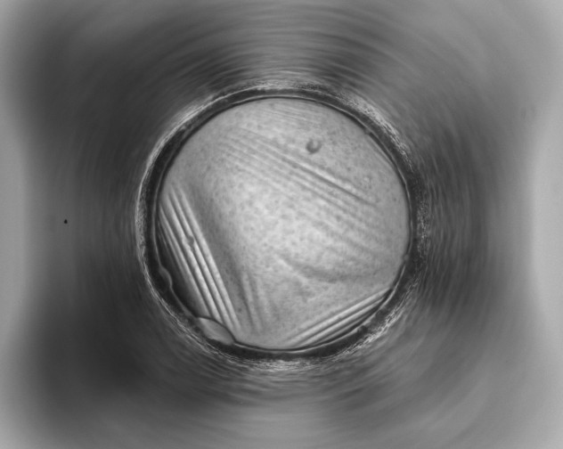 X0000093421122200710260953