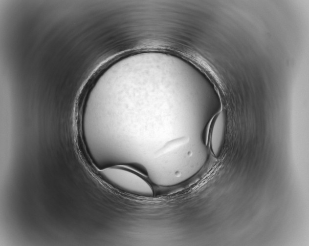 X0000093421124200710260953