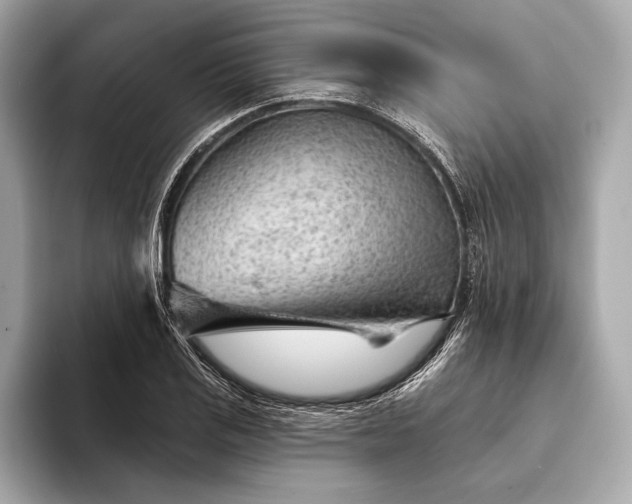 X0000093421125200710260953