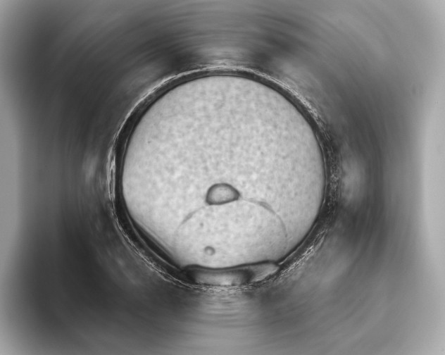 X0000093421126200710260953